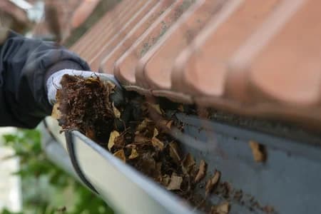 Professional gutter cleaning service